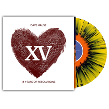 Load image into Gallery viewer, Resolutions XV LP (US)
